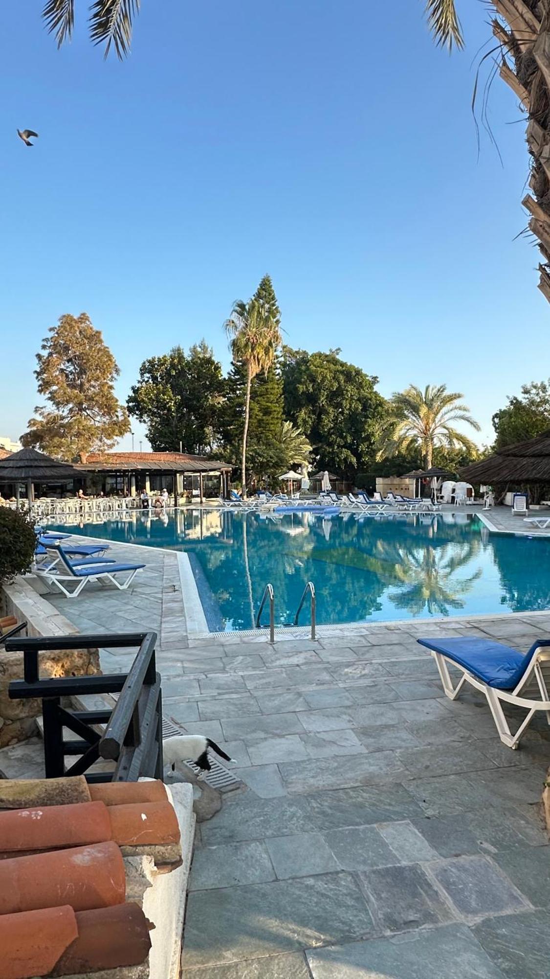 Paphos Gardens Studio Suite Eksteriør billede
