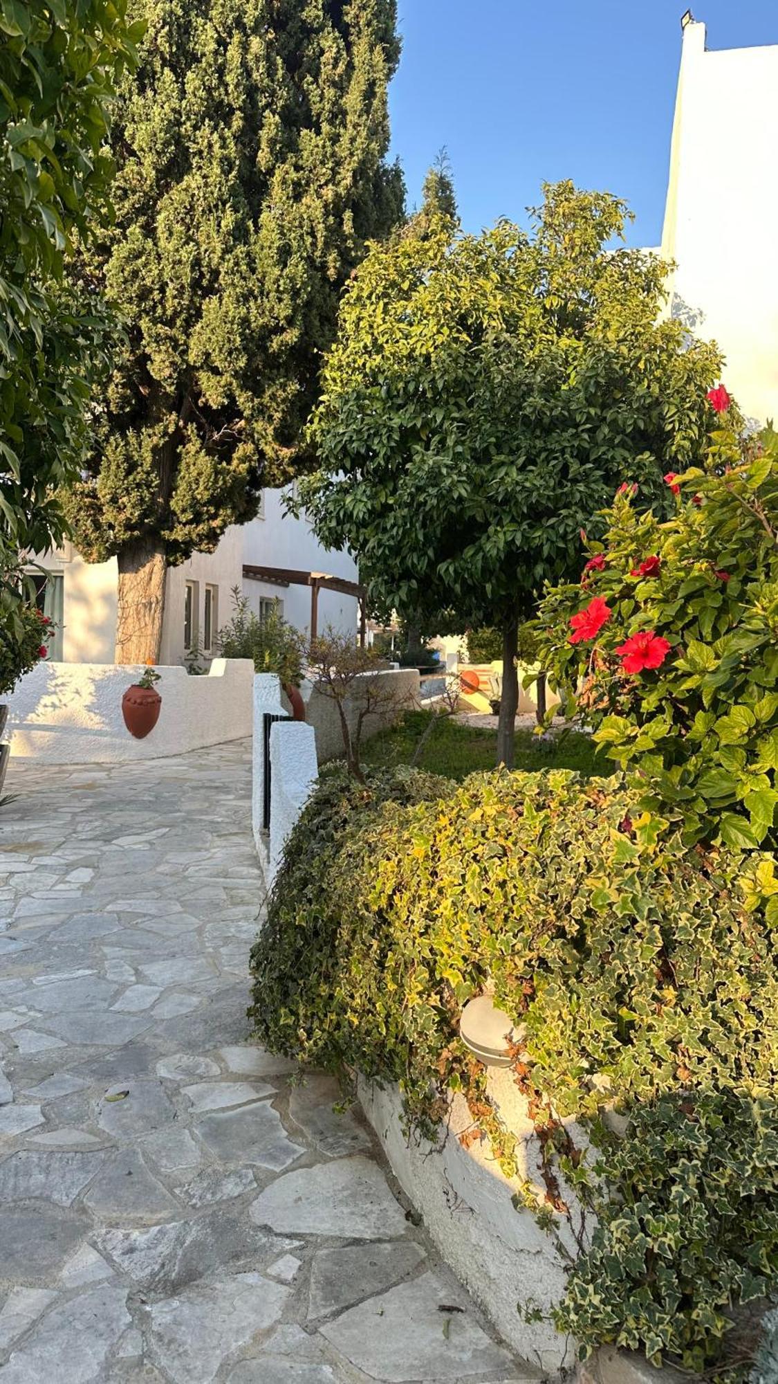 Paphos Gardens Studio Suite Eksteriør billede