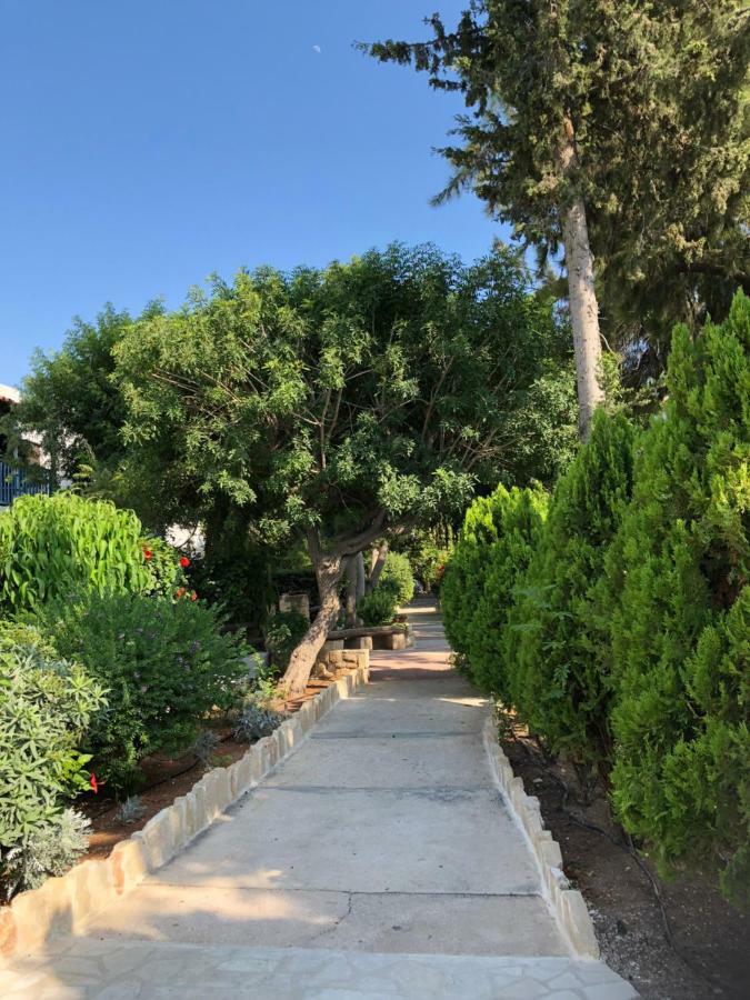 Paphos Gardens Studio Suite Eksteriør billede