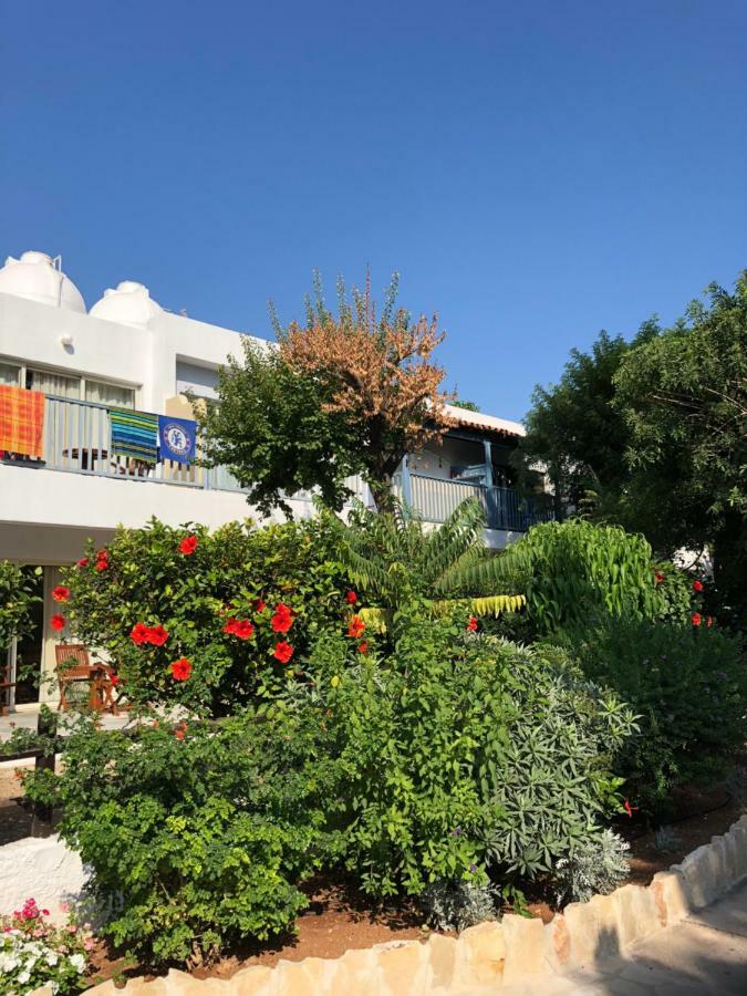 Paphos Gardens Studio Suite Eksteriør billede